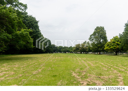 自然豊かな公園の風景 133529624