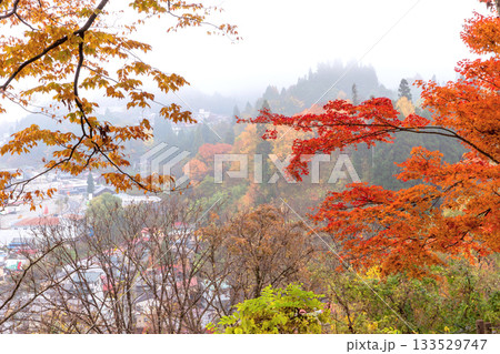 251116北山公園z044 251116北山公園z044 133529747