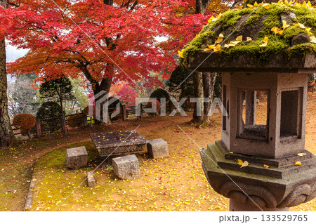 251116北山公園z120 133529765