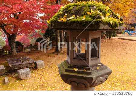 251116北山公園z121 133529766