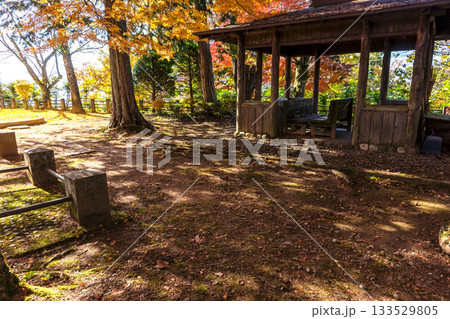 251116北山公園z236 251116北山公園z236 133529805