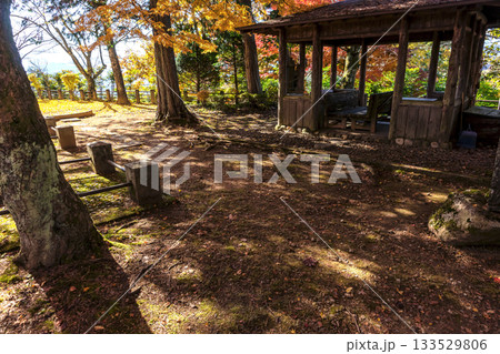 251116北山公園z239 133529806