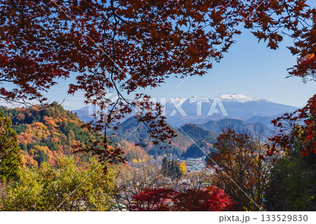 251116北山公園z293 251116北山公園z293 133529830