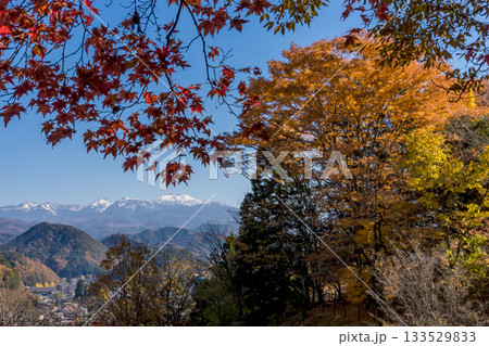 251116北山公園z304 133529833