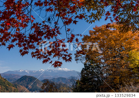 251116北山公園z305 251116北山公園z305 133529834