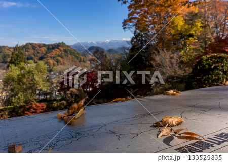 251116北山公園z318 133529835