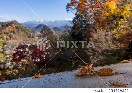 251116北山公園z319 133529836