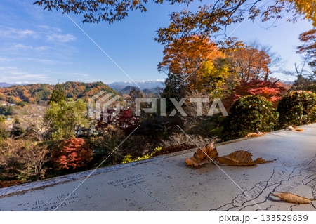 251116北山公園z329 133529839