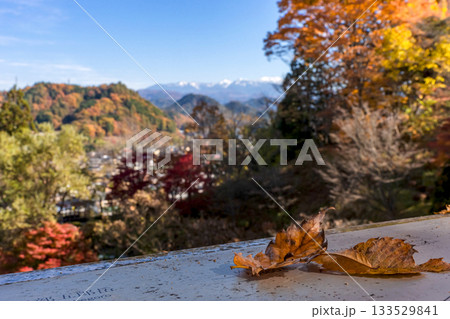251116北山公園z332 251116北山公園z332 133529841