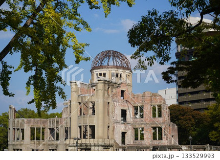 木々と調和する平和のドーム 133529993