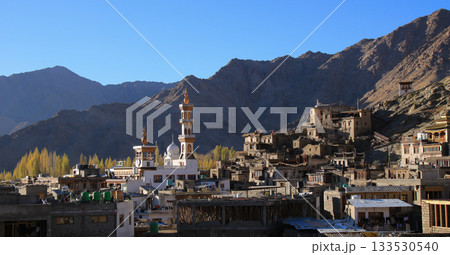 Golden tree tops and Jama Masjid Mosque, Ladakh  Leh, India. 133530540