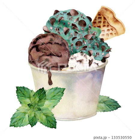Gelato ice cream scoops in plastic cup with speckled chocolate chips, waffle slice and mint leaves. Isolated illustration hand drawn in watercolor. Dessert art, cafe set sheet, summer fair decor. Gelato ice cream scoops in plastic cup with speckled chocolate chips, waffle slice and mint leaves. Isolated illustration hand drawn in watercolor. Dessert art, cafe set sheet, summer fair decor. 133530550