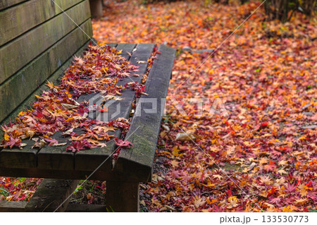 251117城山公園z025 133530773