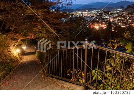 251117城山公園z050 133530782