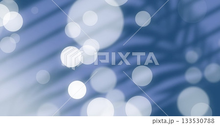 Displaying abstract pattern melding soft light orbs and palm shadows in graphic backdrop with bokeh 133530788