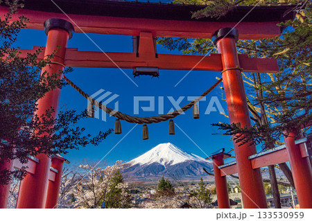 【山梨県_富士吉田市】富士山の夜明けと桜満開の新倉山浅間公園 4月 133530959
