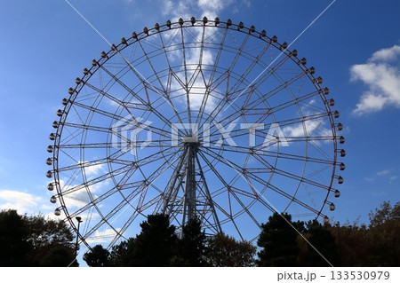 大観覧車（葛西臨海公園） 133530979