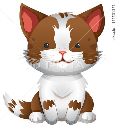 Cute Brown and White Kitten Sitting Front View 133531371