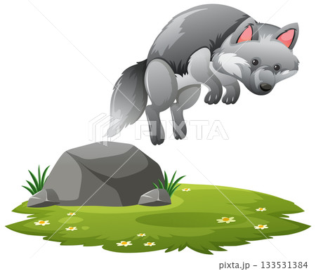Gray Wolf Jumping Over Rock on Grassy Meadow 133531384