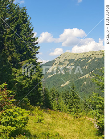 Majestic panoramic view of the green Carpathian Mountains on a clear summer day Majestic panoramic view of the green Carpathian Mountains on a clear summer day 133531458