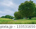 青空と緑の木々が広がる創元風景 133531650