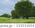 緑と青空と白い雲 133531654