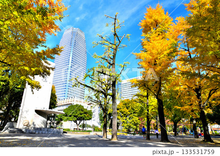 都立芝公園4号地より愛宕ヒルズ方面を望む(東京都港区)【2025.11】 都立芝公園4号地より愛宕ヒルズ方面を望む(東京都港区)【2025.11】 133531759