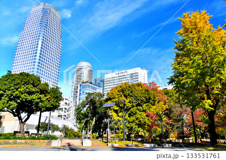 都立芝公園4号地より愛宕ヒルズ方面を望む(東京都港区)【2025.11】 133531761