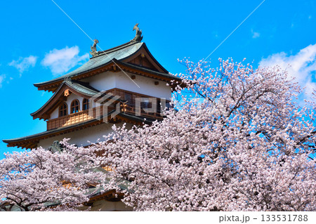 春 桜 諏訪高島城 春 桜 諏訪高島城 133531788