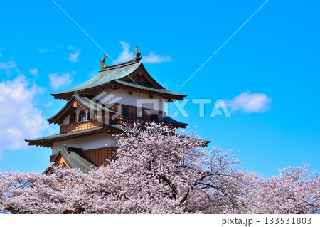 春　桜　諏訪高島城 133531803
