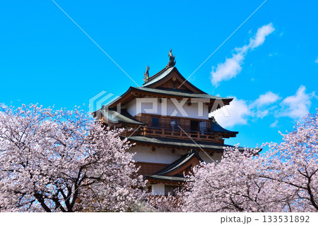 春　桜　諏訪高島城 133531892