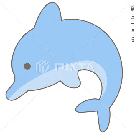 Cute Blue Dolphin in an Underwater Wonderland Cute Blue Dolphin in an Underwater Wonderland 133531909