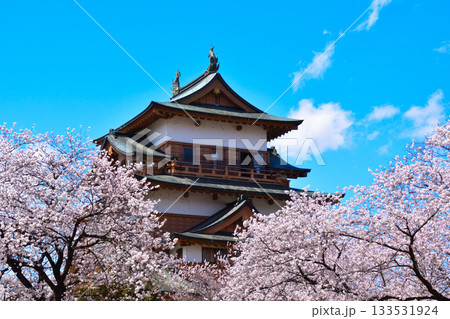 春　桜　諏訪高島城 133531924