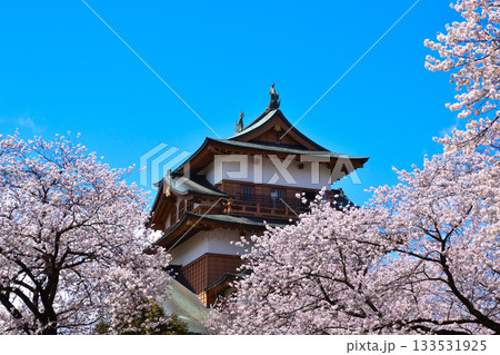 春 桜 諏訪高島城 春 桜 諏訪高島城 133531925
