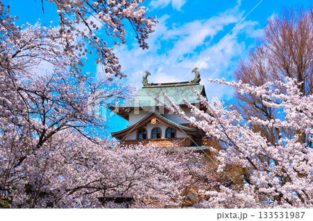 春 桜 諏訪高島城 春 桜 諏訪高島城 133531987
