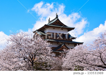 春 桜 諏訪高島城 春 桜 諏訪高島城 133531989