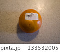 柿の実 133532005