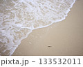 砂浜に打ち寄せる波 133532011