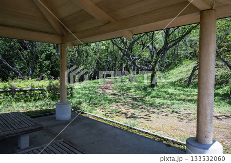 茨城 新緑の公園(十王パノラマ公園) 茨城 新緑の公園(十王パノラマ公園) 133532060