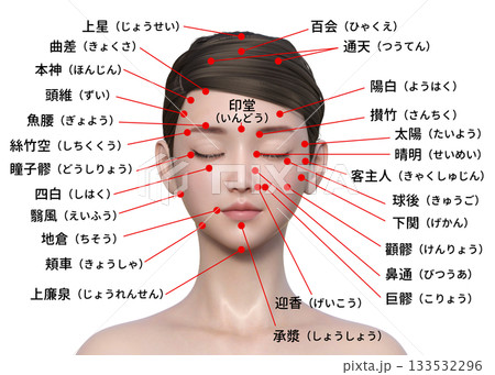 顔のツボ 日本人3Dモデル女性の顔のツボの図解イラスト 上半身顔アップ 顔のツボ 日本人3Dモデル女性の顔のツボの図解イラスト 上半身顔アップ 133532296