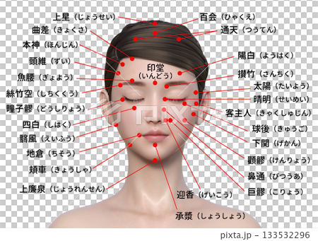 顔のツボ 日本人3Dモデル女性の顔のツボの図解イラスト 上半身顔アップ 顔のツボ 日本人3Dモデル女性の顔のツボの図解イラスト 上半身顔アップ 133532296