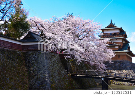 春 桜 諏訪高島城 春 桜 諏訪高島城 133532531