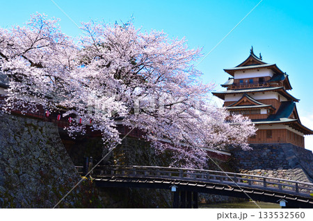 春 桜 諏訪高島城 春 桜 諏訪高島城 133532560