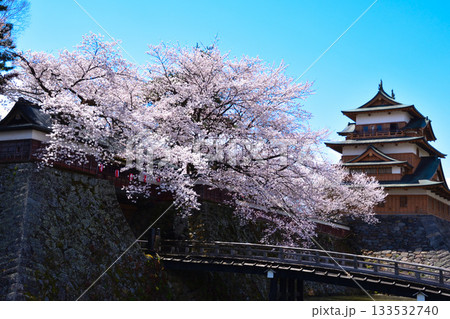 春　桜　諏訪高島城　 133532740