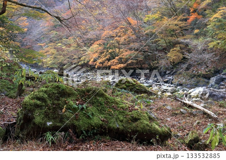 べふ峡 物部川源流域の渓谷 (高知県 香美市) べふ峡 物部川源流域の渓谷 (高知県 香美市) 133532885