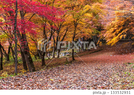 251118城山公園z022 133532931