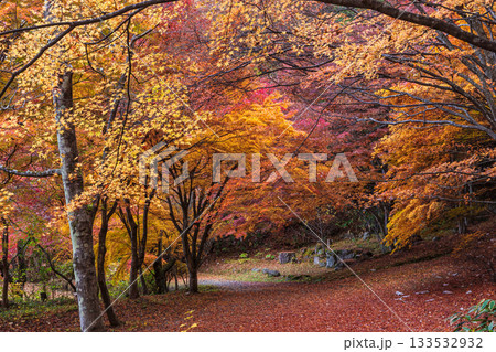 251118城山公園z026 133532932