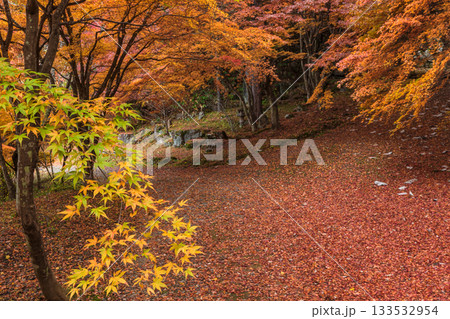 251118城山公園z086 133532954