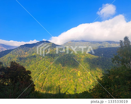山からの眺め 133533019