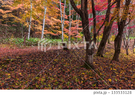 251118城山公園z020 133533128